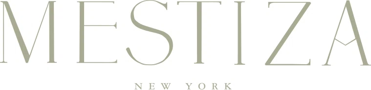 Mestiza New York logo