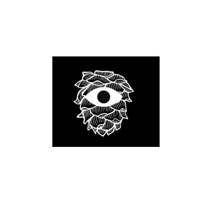 PsEYEche