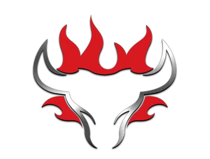 Schwank Grills logo