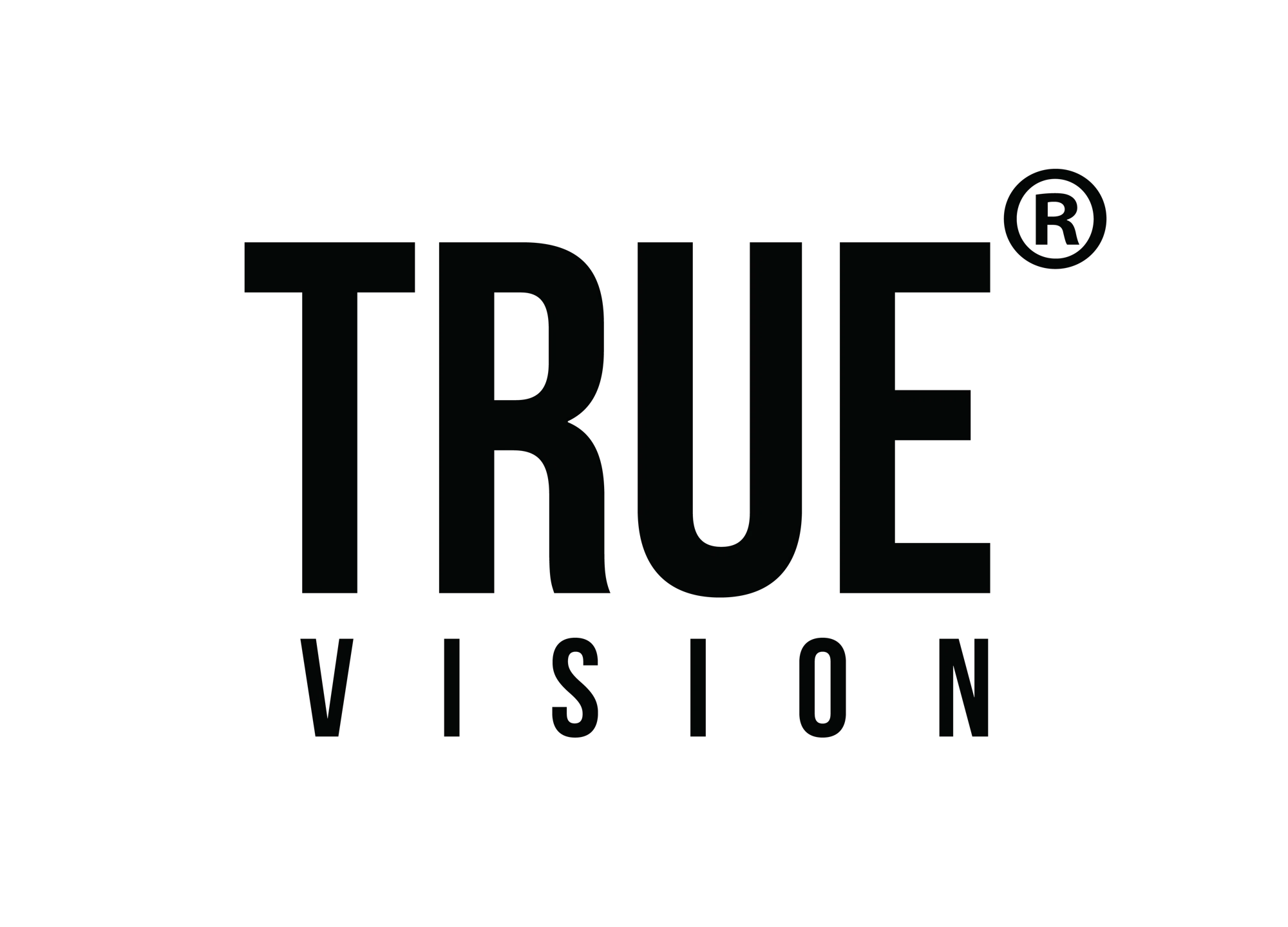 True Vision logo