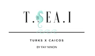 T.SEA.I logo