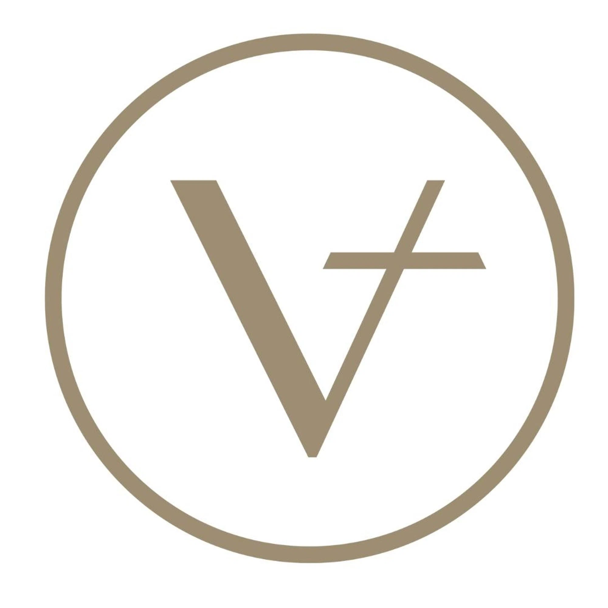 Vanimy logo